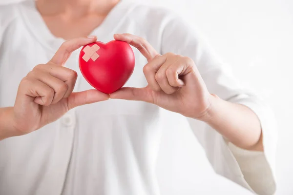 Woman holding red heart symbol of World heart day. White background isolated.