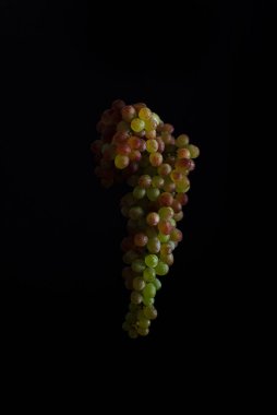 Karanlık arka planda üzümler. Yükselme