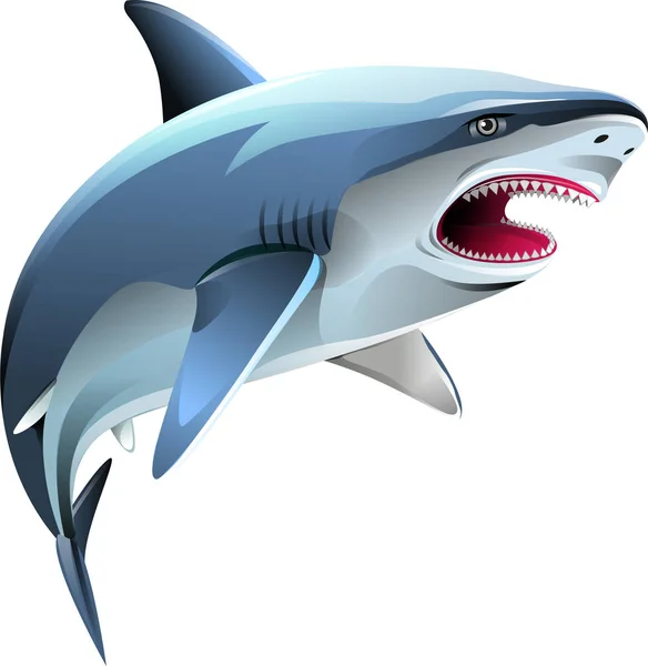 Vector Illustration Angry Shark — Stock Vector