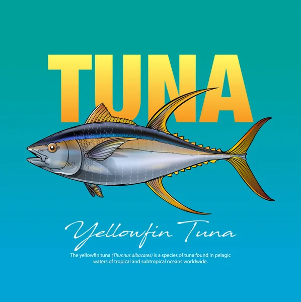 Vector Illustration Yellow Fin Tuna — Stock Vector
