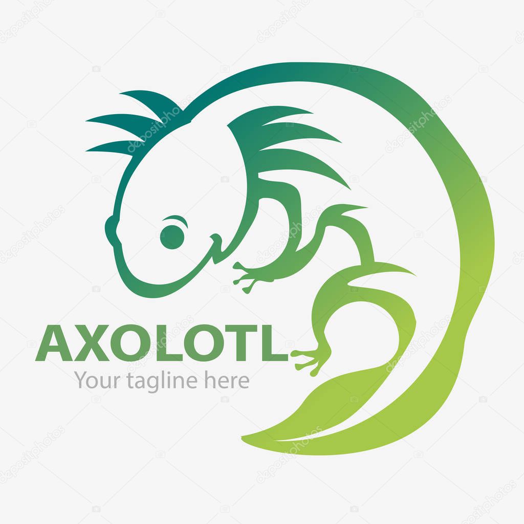 Axolotl or Mexican salamander vector, as a symbol or logo to save the environment.