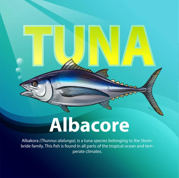 Albaora Thunnus Alunga 속하는 참치의 일종이다 물고기는 바다와 대기후의 지역에서 — 스톡 벡터