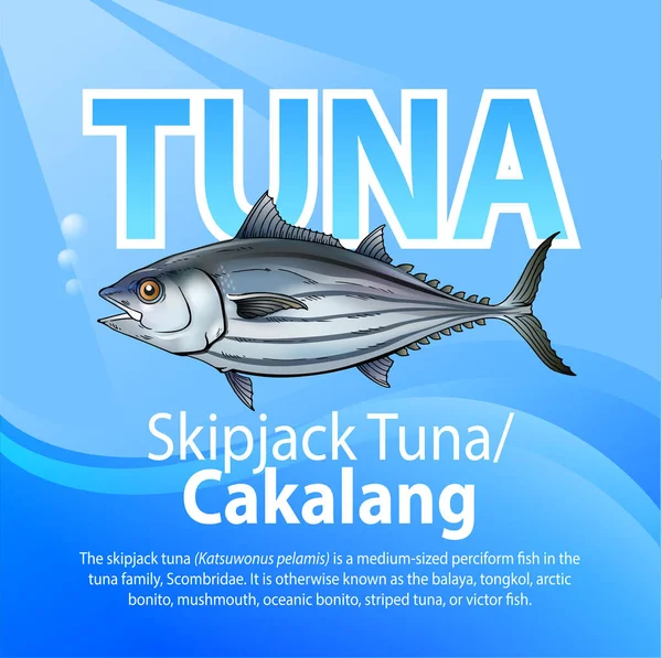 Ilustração Vetorial Skipjack Tuna Cakalang Peixe Perciforme Tamanho Médio Família — Vetor de Stock