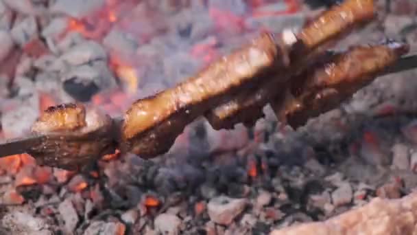 Stukjes Lamsvlees Biefstuk Omgedraaid Grill — Stockvideo