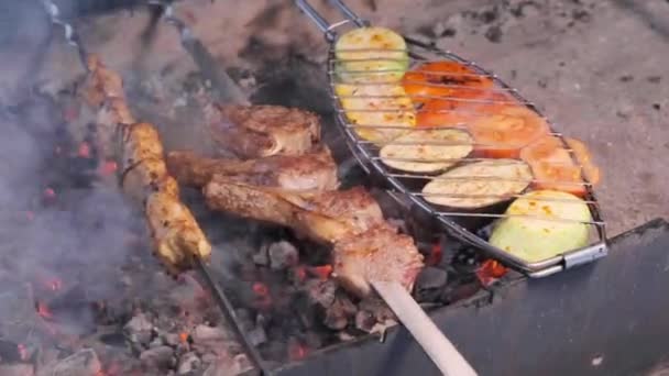 Surtido de deliciosa carne a la parrilla con verduras sobre las brasas en una barbacoa — Vídeos de Stock
