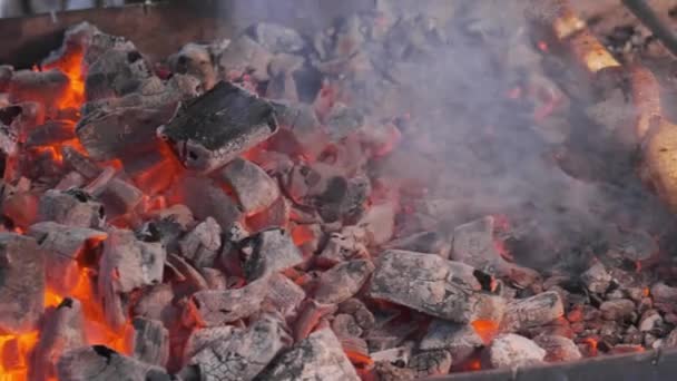 Асорті смачне м'ясо на грилі з овочами над вугіллям на барбекю — стокове відео