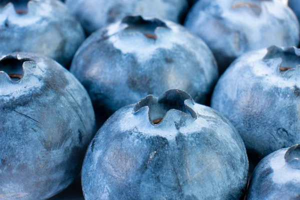 Close up of fresh blueberries as background — Stock Photo, Image