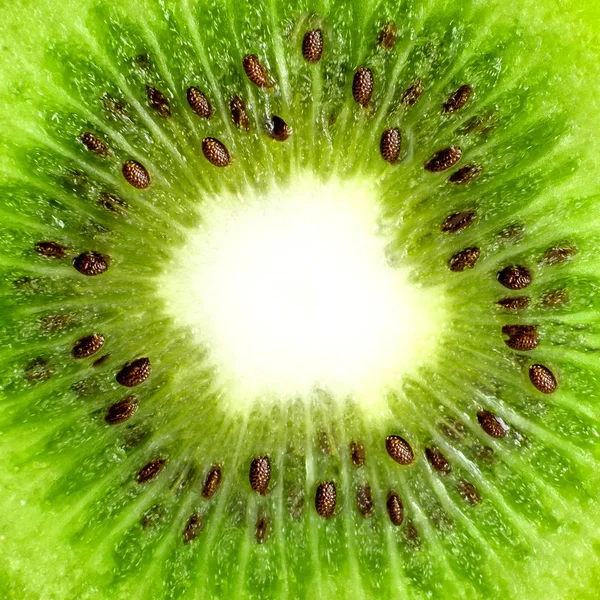 Perto de um kiwi saudável — Fotografia de Stock