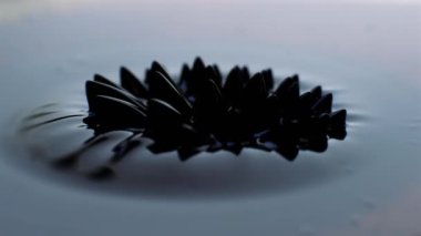 Manyetik kuvvetler şeklini değiştirirken titreşen Ferrofluid. Karanlık ve sanatsal. 4K çözünürlüğü. Ağır çekim. Yüksek kalite 4k görüntü