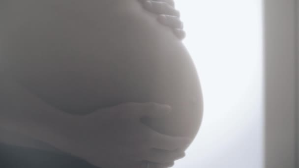 Weibchen Berühren Ihren Schwangeren Bauch Hochwertiges Fullhd Filmmaterial — Stockvideo