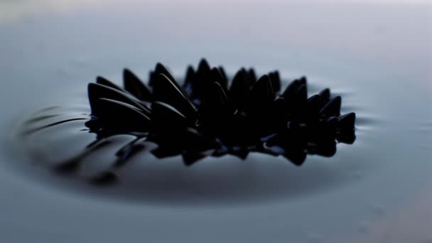 磁力改变铁液的形状时 铁液在运动 黑暗和艺术 4K分辨率 慢动作高质量的4K镜头 — 图库视频影像