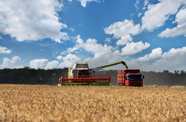 Combine Working Wheat Field Combine Harvester Action Wheat Field — Stock Photo, Image