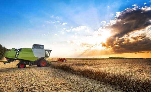 Combine Harvesting Wheat Sunset — Stock Photo, Image