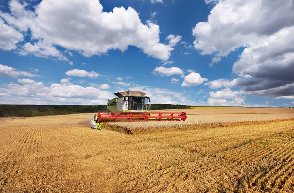 Combine harvester in action on wheat field. Stock Image