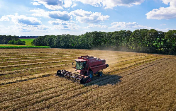 Cosechadora Trabajando Campo Vista Superior Desde Dron — Foto de Stock