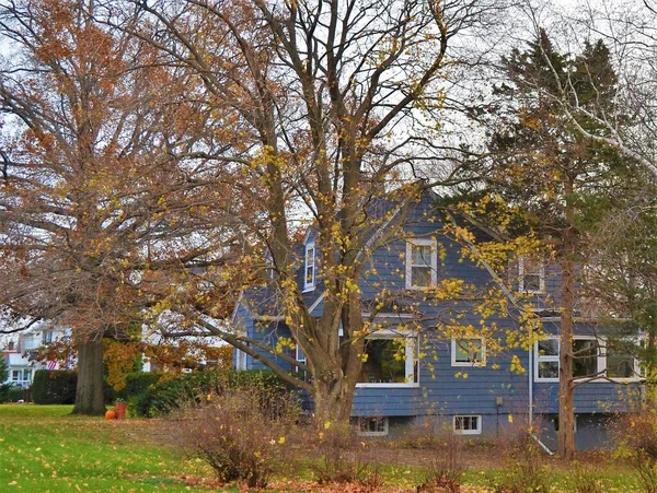 Typiskt Amerikanskt Hus Hösten Royaltyfria Stockbilder