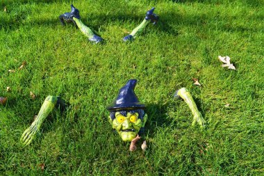 Oz Büyücüsü 'nden batının yeşil cadısını betimleyen bir bahçede Cadılar Bayramı süsü.