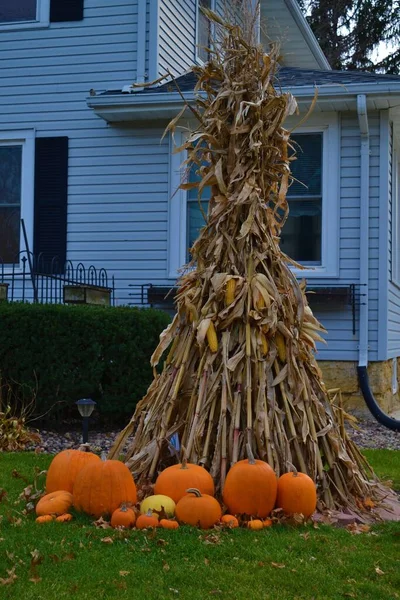 Décoration Automne Dans Jardin Américain Avec Citrouilles Maïs — Photo