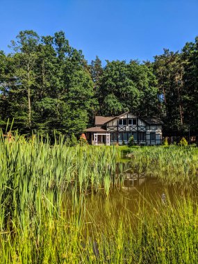 Manzara Doğa Göl ve çim yaz sezonu