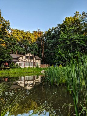 Manzara Doğa Göl ve çim yaz sezonu