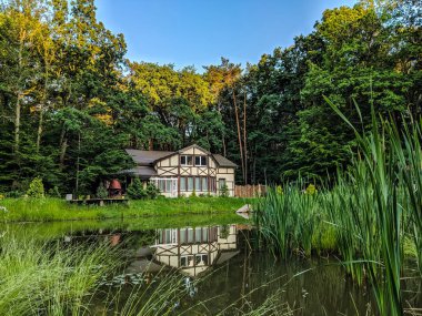 Manzara Doğa Göl ve çim yaz sezonu
