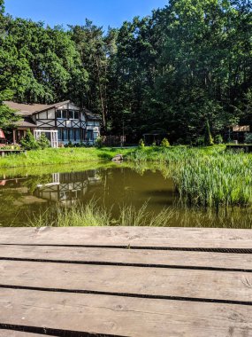 Manzara Doğa Göl ve çim yaz sezonu