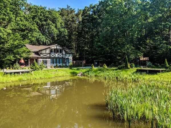 Manzara Doğa Göl ve çim yaz sezonu