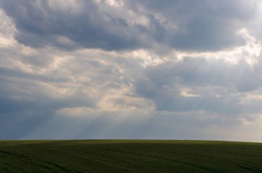 Manzaralı yeşil alanlar ve bulutlar yaz sezonu