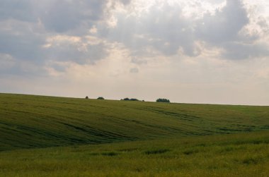 Manzaralı yeşil alanlar ve bulutlar yaz sezonu