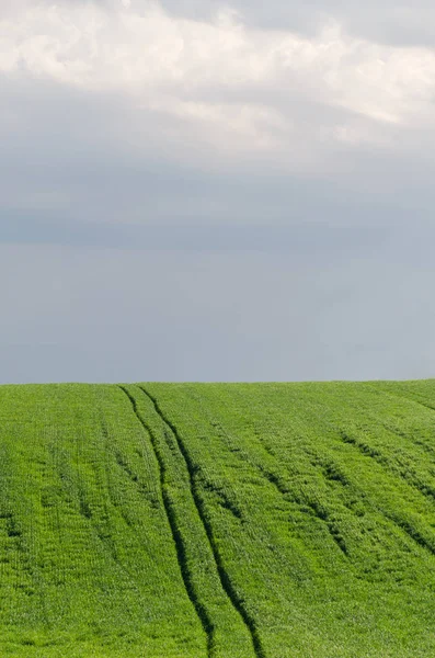 Vista Paisagem Campos Verdes Nuvens Temporada Verão — Fotografia de Stock