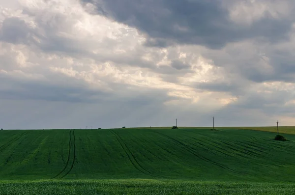 Vista Paisagem Campos Verdes Nuvens Temporada Verão — Fotografia de Stock