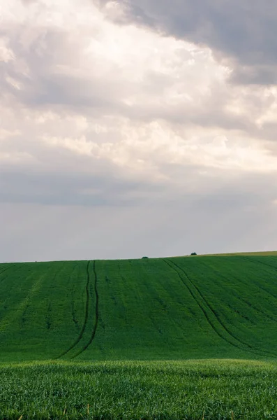 Vista Paisagem Campos Verdes Nuvens Temporada Verão — Fotografia de Stock