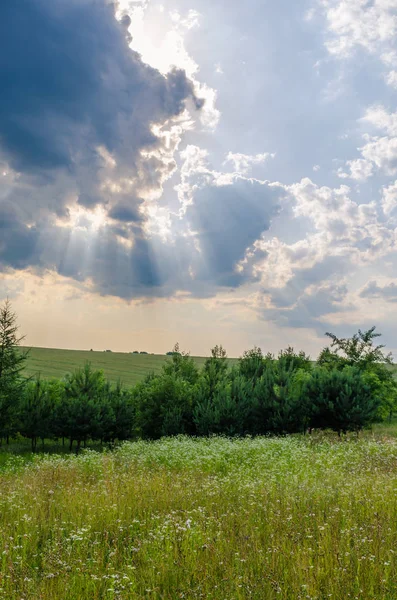 Vista Paisagem Campos Verdes Nuvens Temporada Verão — Fotografia de Stock