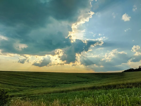 Vista Paisagem Campos Verdes Nuvens Temporada Verão — Fotografia de Stock