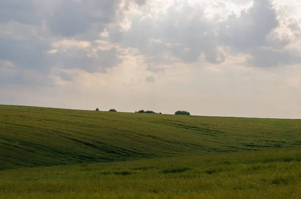 Landschaft Blick Auf Grüne Felder Und Wolken Der Sommersaison — Stockfoto