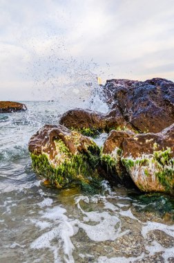 Ukrayna Odesa günbatımı sırasında deniz manzarası