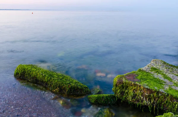 Ukrayna Odesa günbatımı sırasında deniz manzarası