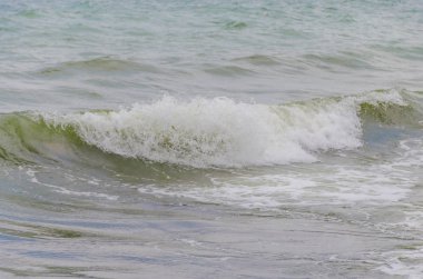 Odesa plaj dalgalar Ukrayna ile