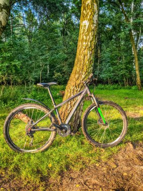 MTB Bisiklet yaz sezonu izinde