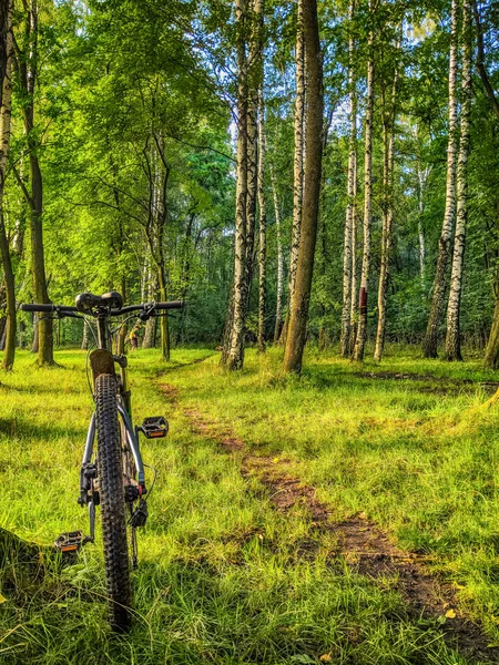 Mtb Fahrrad Der Sommersaison Unterwegs — Stockfoto