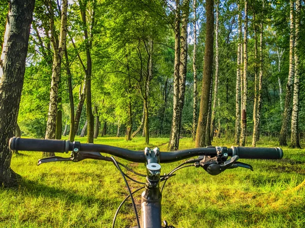 Mtb Fahrrad Der Sommersaison Unterwegs — Stockfoto