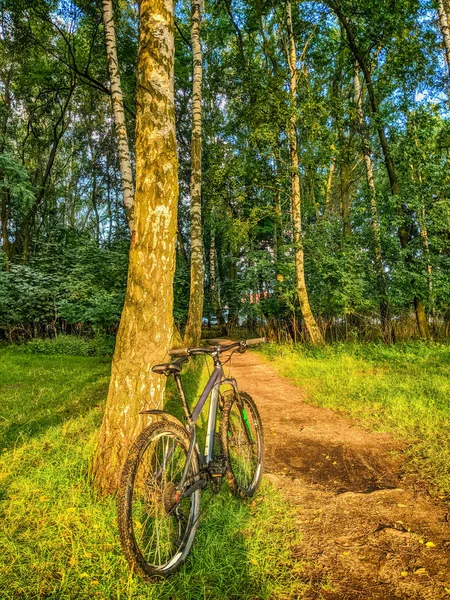 Mtb Fahrrad Der Sommersaison Unterwegs — Stockfoto