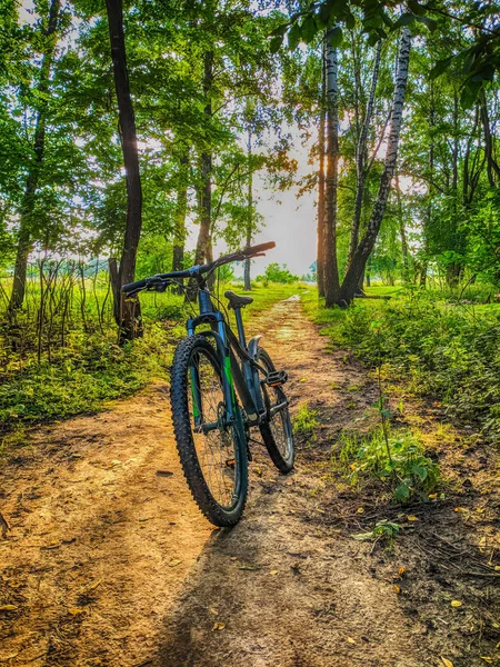 Rower Mtb Szlaku Sezonie Letnim — Zdjęcie stockowe