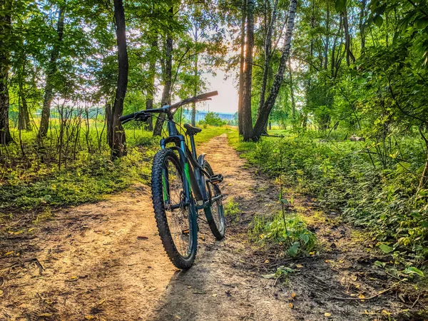 Mtb Fahrrad Der Sommersaison Unterwegs — Stockfoto