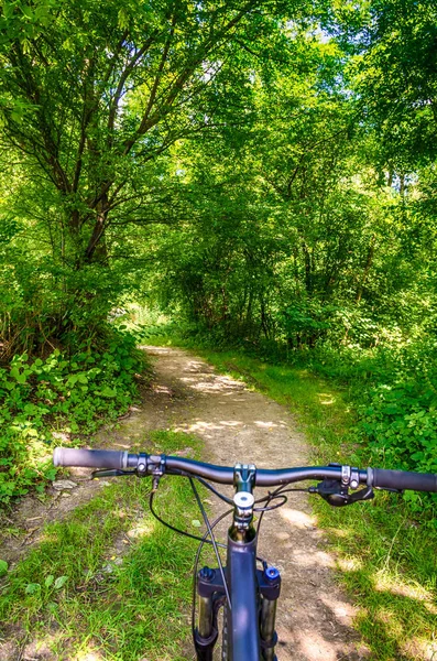 MTB bicycle on the trail in the summer season