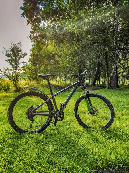 Mtb Fahrrad Der Sommersaison Unterwegs — Stockfoto