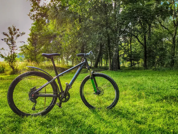 Mtb Fahrrad Der Sommersaison Unterwegs — Stockfoto