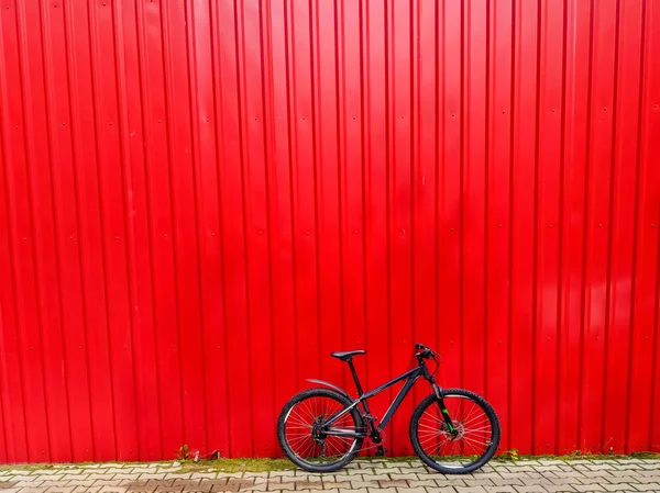 Mtb Kolo Stezce Letní Sezóně — Stock fotografie