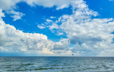 Sonbahar sezonu, deniz sahilinde güzel gökyüzü