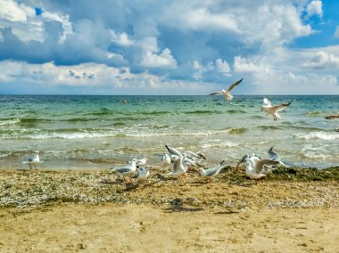 Sonbahar sezonu, deniz sahilinde güzel gökyüzü
